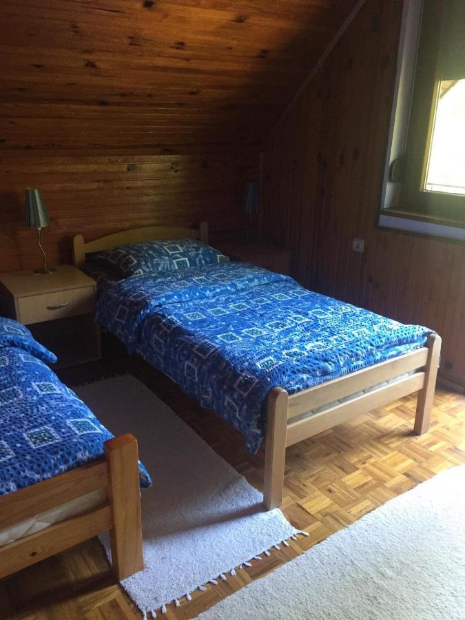 Vila Borovic Zlatibor Esterno foto