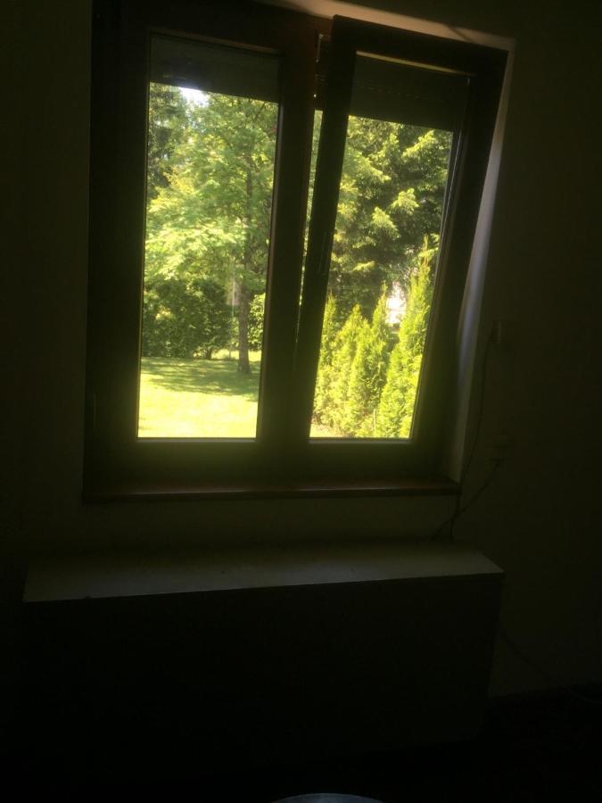 Vila Borovic Zlatibor Esterno foto
