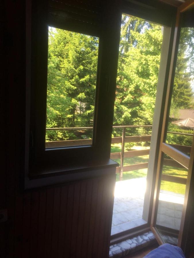 Vila Borovic Zlatibor Esterno foto