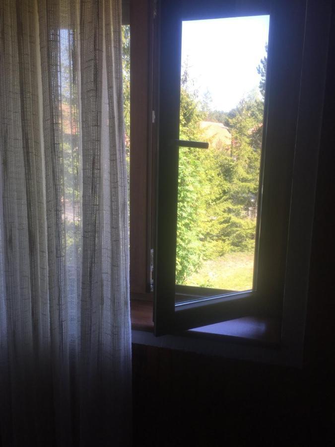 Vila Borovic Zlatibor Esterno foto