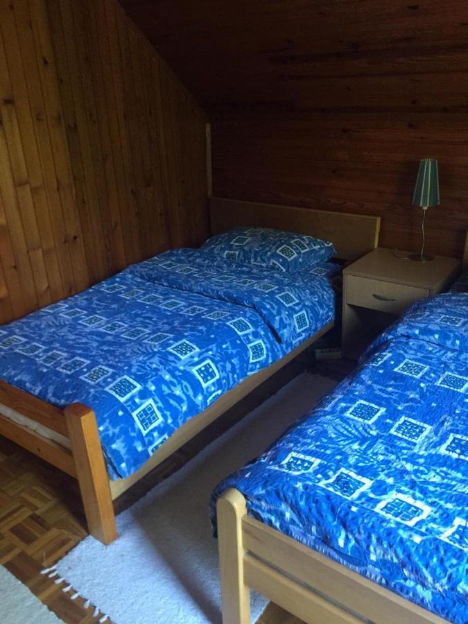 Vila Borovic Zlatibor Esterno foto