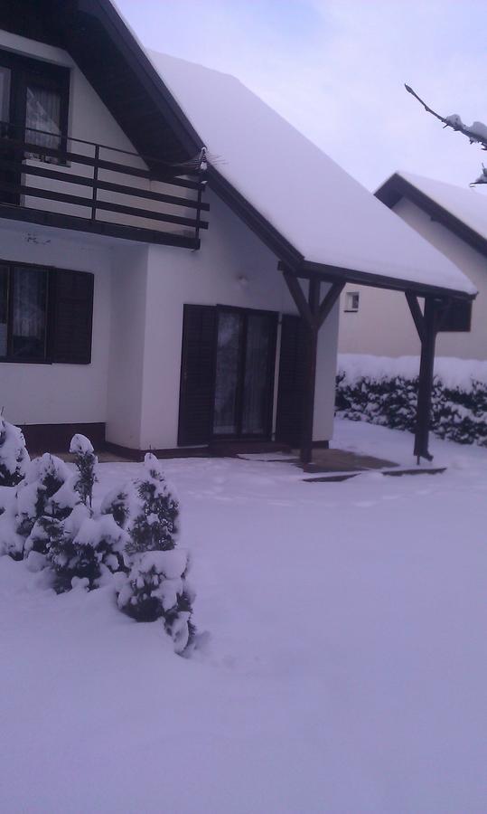 Vila Borovic Zlatibor Esterno foto