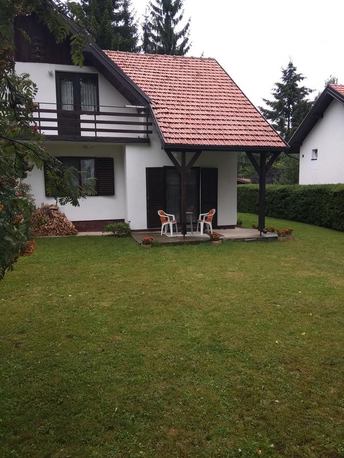 Vila Borovic Zlatibor Esterno foto